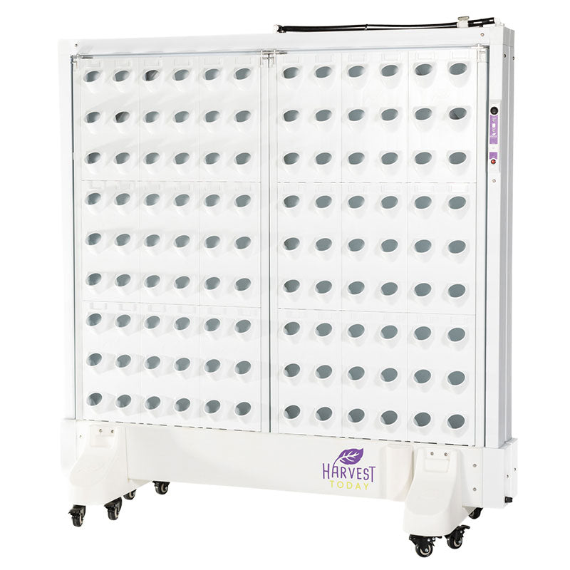 Harvest Wall For Home Double Panel Front Angle Right
