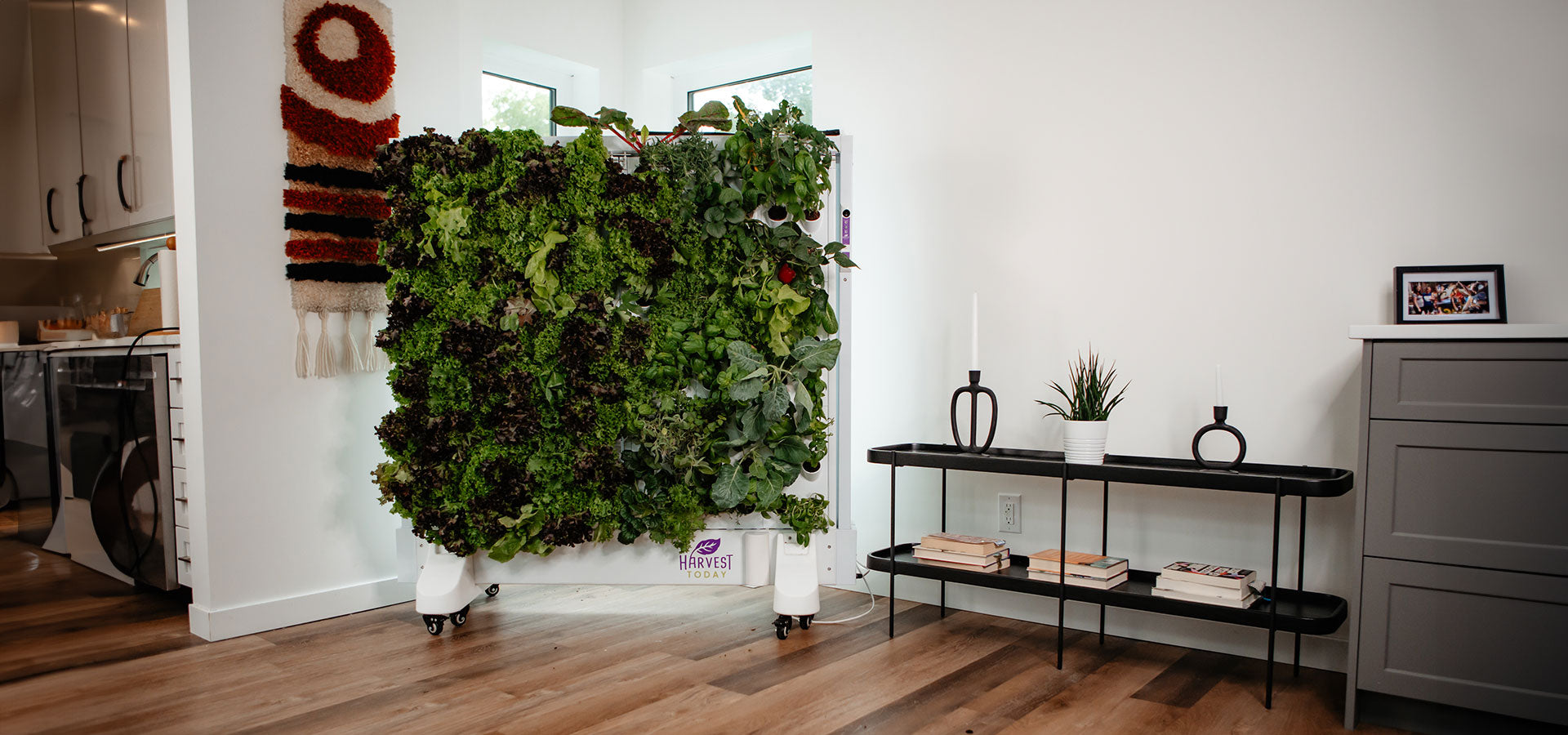 Harvest Wall For Home Double Panel with grown crops and greens