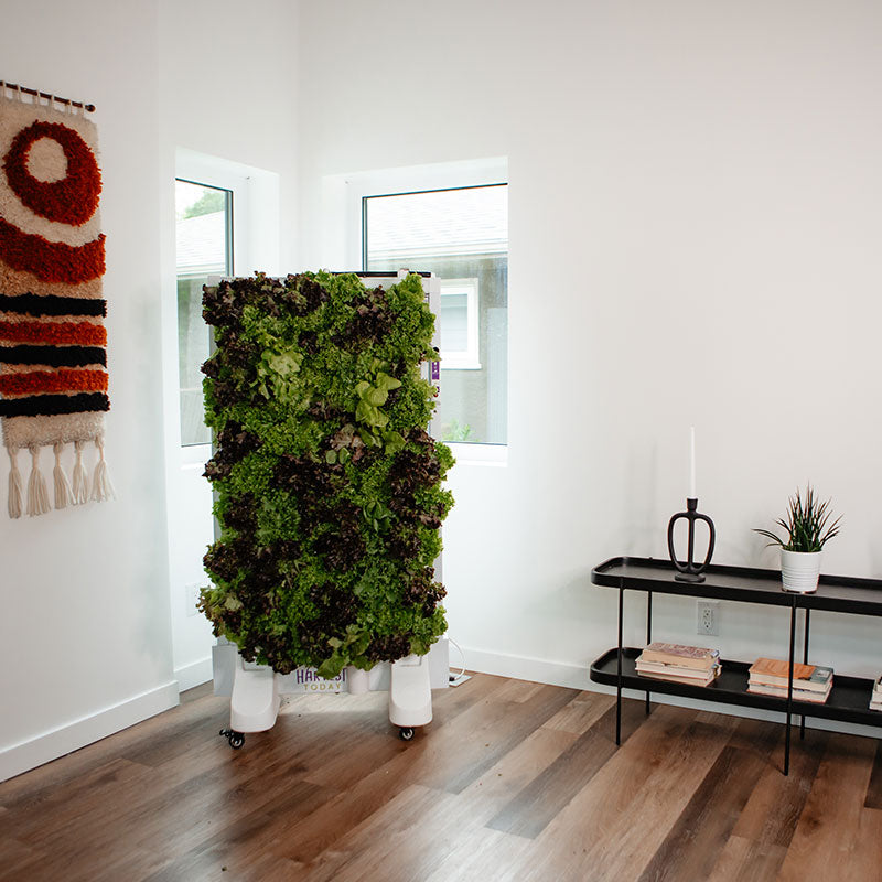 Harvest Wall For Home Single Panel with variety of crops