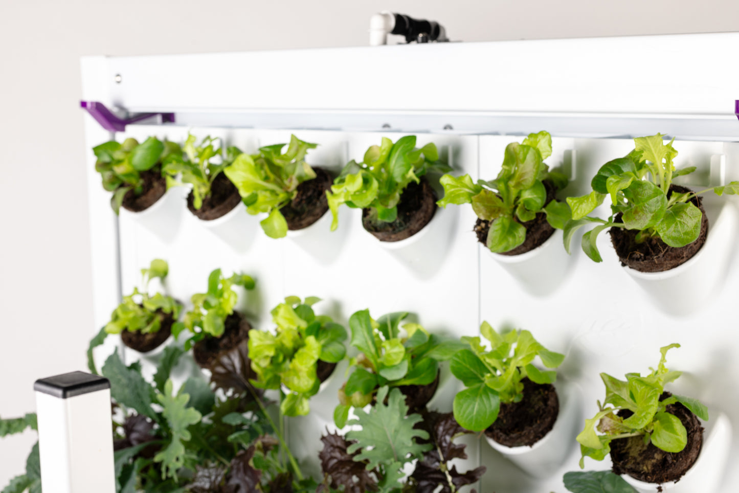 Harvest Wall for Home, Version 2.5 (36 port)
