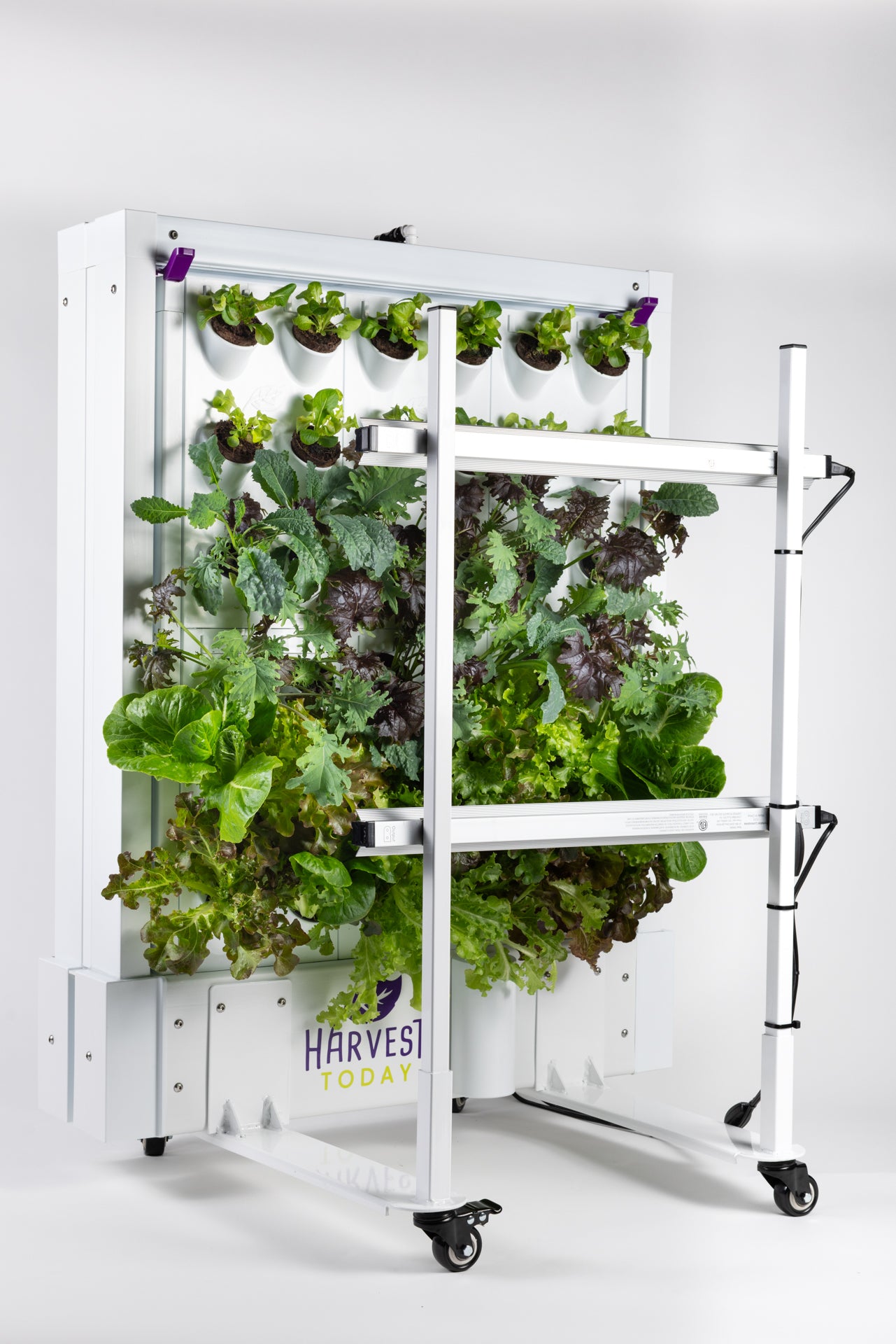 Harvest Wall for Home, Version 2.5 (36 port)