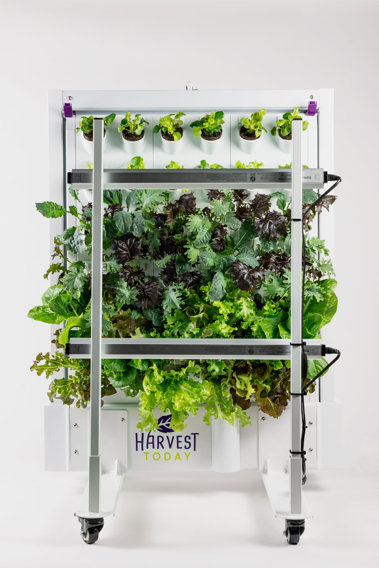 Harvest Wall for Home, Version 2.5 (36 port)