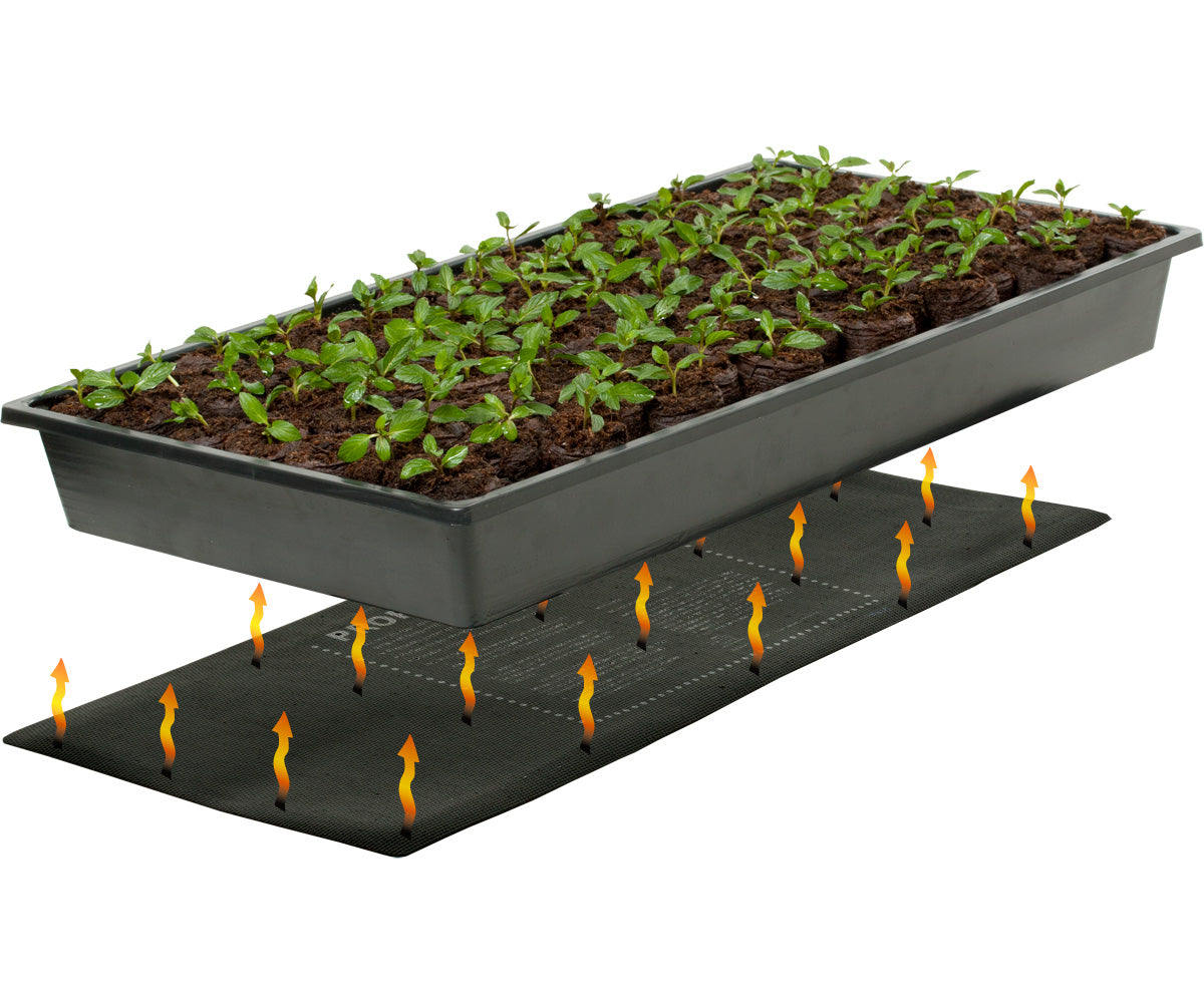 Germination Station w/Heat Mat, Tray, 72-Cell Pack, 2" Dome