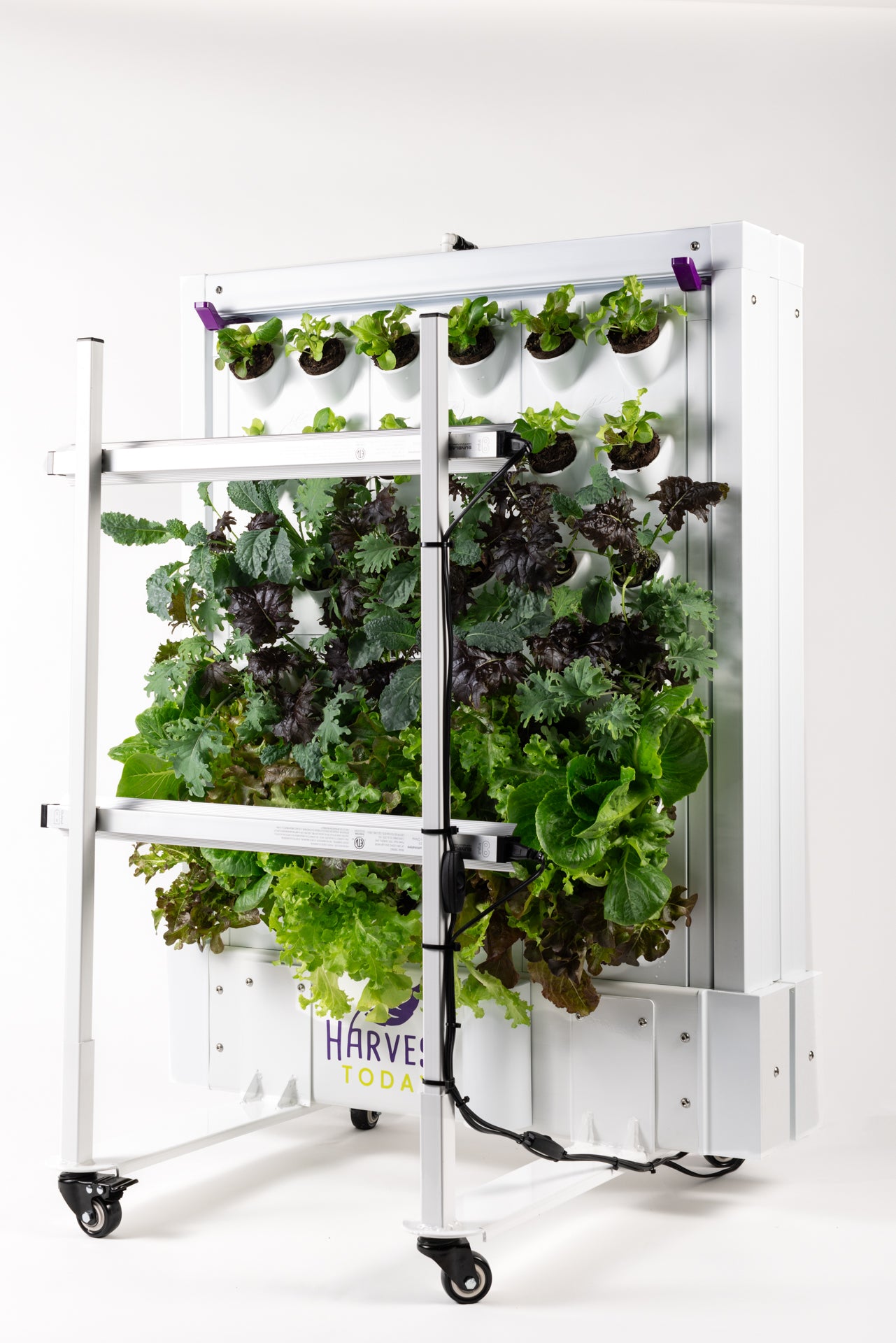 Harvest Wall for Home, Version 2.5 (36 port)