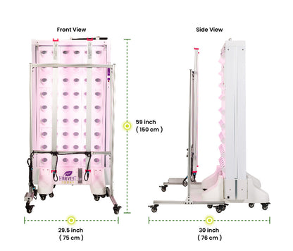 Harvest Wall For Home Single Panel with LED Lights